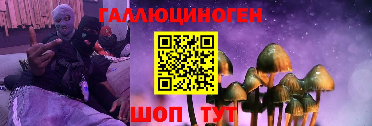 Галлюциногенные грибы ЛСД  Галлюциногенные грибы Cubensis  Нарткала  Вход с VPN 